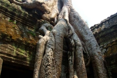 4 Prasat Ta Prom 1