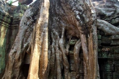 5 Prasat Ta Prom 1