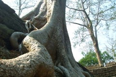 6 Prasat Ta Prom 1