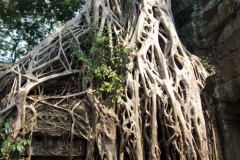 9 Prasat Ta Prom 38