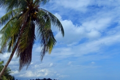 Thung WaeLean Beach 1