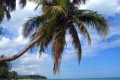 Thung WaeLean Beach 4