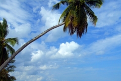 Thung WaeLean Beach 6