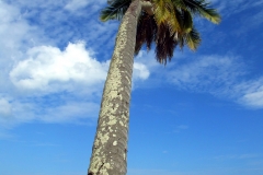 Thung WaeLean Beach 7