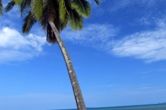 Thung WaeLean Beach 8