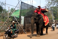 Elephant at Angkor Thom Gate