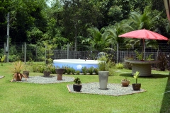Our Back Garden 3