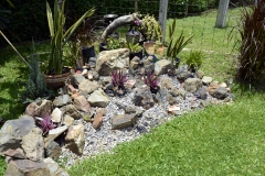 Our Back Garden4