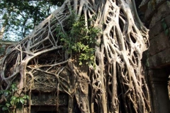 8 Prasat Ta Prom 38
